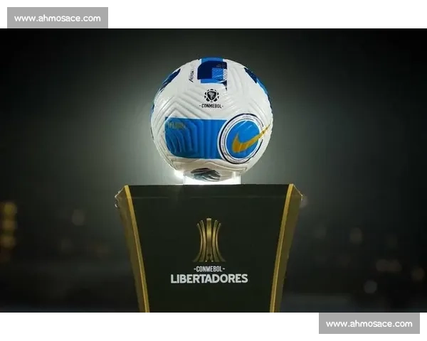 南美解放者杯冠军能否冲击2026世界杯